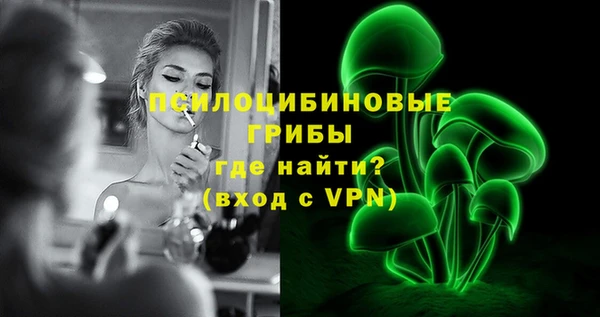 ПСИЛОЦИБИНОВЫЕ ГРИБЫ Алексеевка