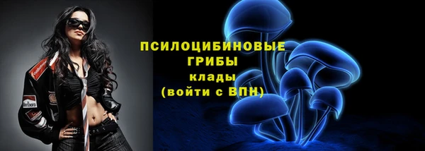ПСИЛОЦИБИНОВЫЕ ГРИБЫ Алексеевка