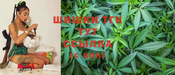 ПСИЛОЦИБИНОВЫЕ ГРИБЫ Алексеевка