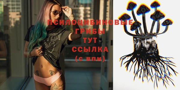 ПСИЛОЦИБИНОВЫЕ ГРИБЫ Алексеевка
