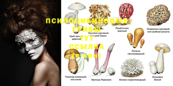 ПСИЛОЦИБИНОВЫЕ ГРИБЫ Алексеевка