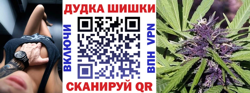 наркошоп  Электрогорск  Бошки марихуана семена 